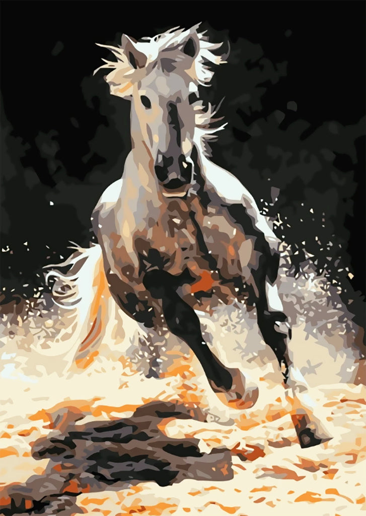Paard en Zand Schilderen op Nummers