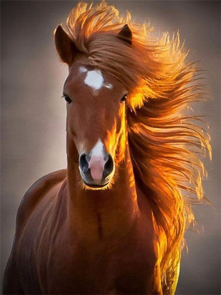 Paard in de Wind Schilderen op Nummers