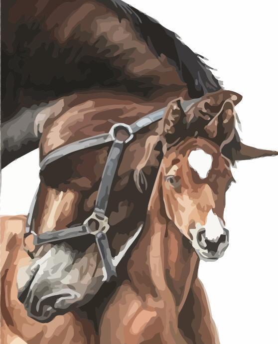 Paard Moeder en Kind Schilderen op Nummers