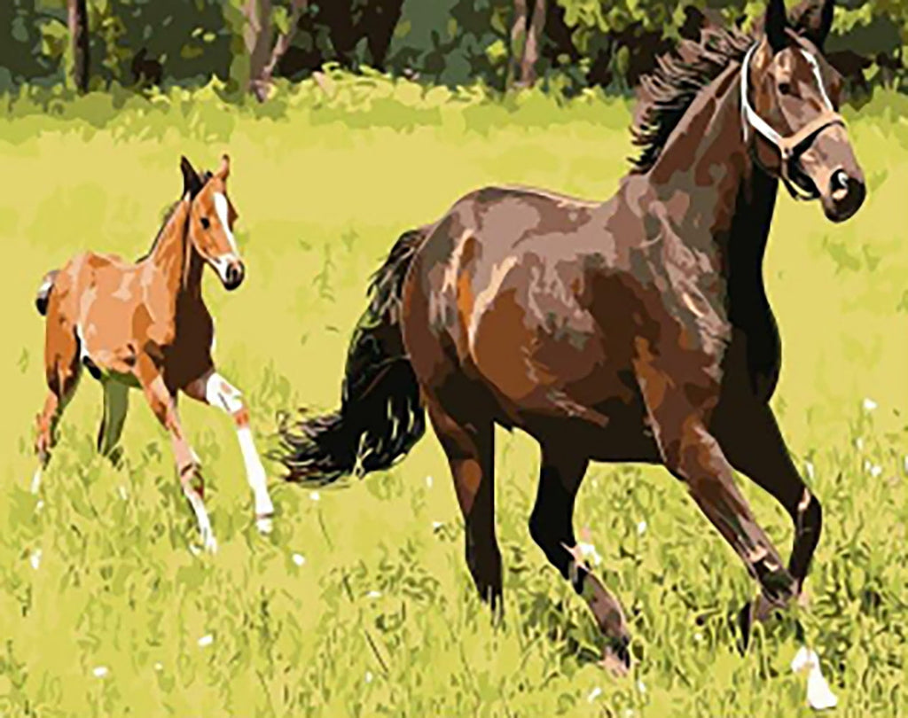 Paard Moeder en Zoon in de Wei Schilderen op Nummers