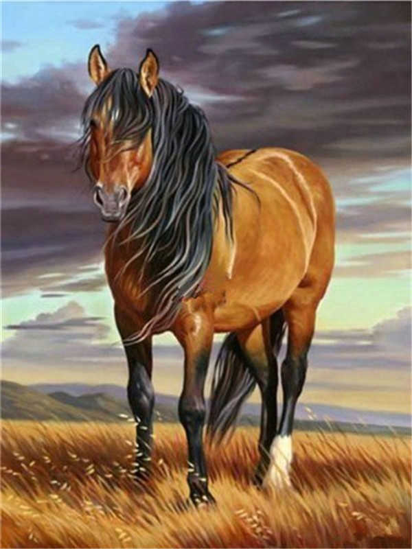 Paard op de Prairie Schilderen op Nummers
