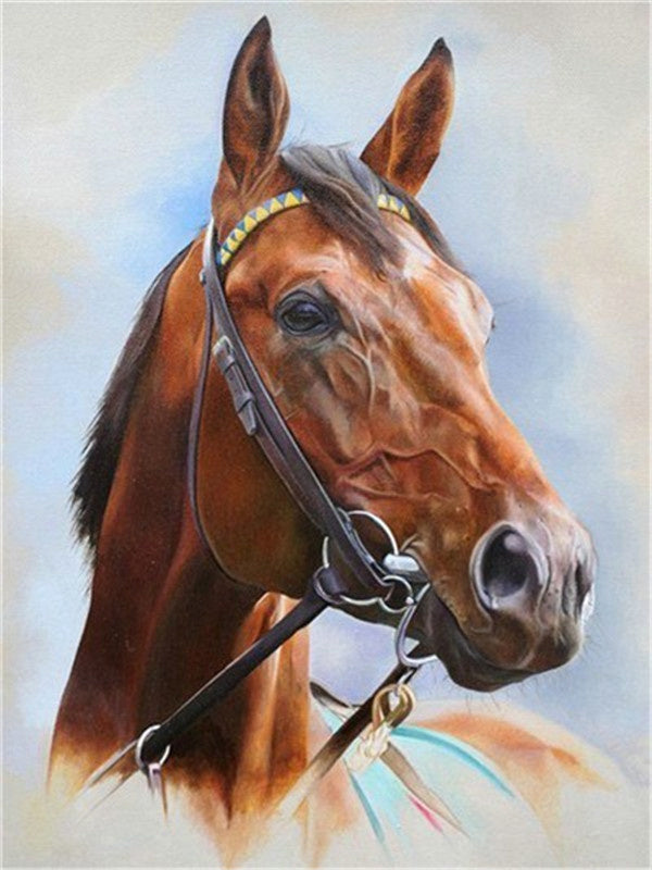 Paard Schilderen op Nummers