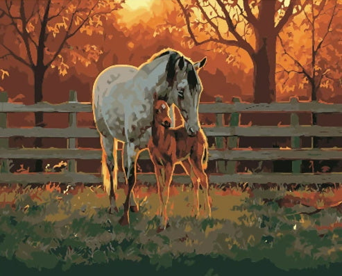 Paarden bij Zonsondergang Schilderen op Nummers