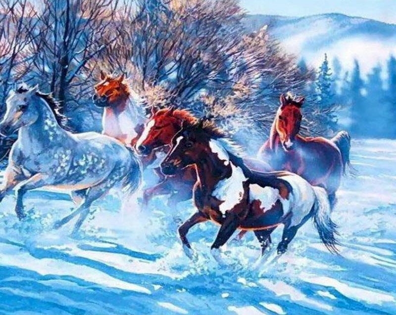Paarden in de Sneeuw Schilderen op Nummers