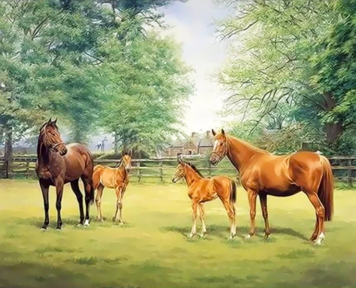 Paarden in de Wei Schilderen op Nummers