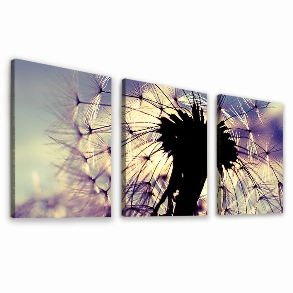 Paardenbloem Silhouet 3 Platen Schilderen op Nummers