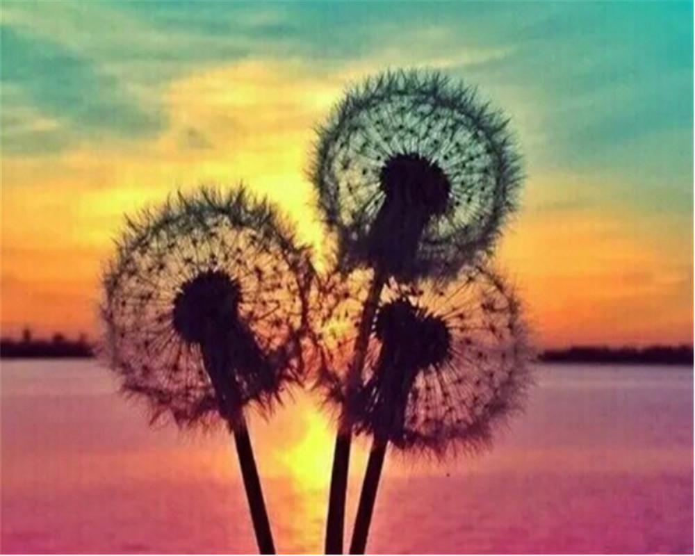 Paardenbloemen onder de Kleurrijke Zonsondergang Schilderen op Nummers