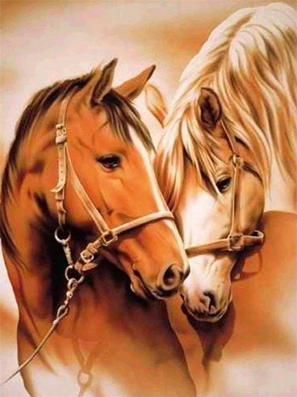 Paardenpaar Schilderen op Nummers
