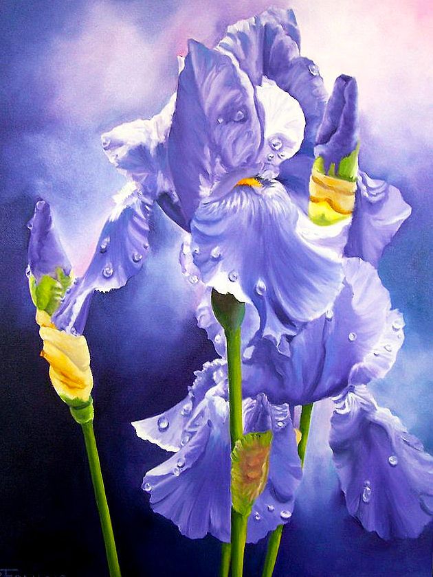 Paarse Bloemen Schilderen op Nummers