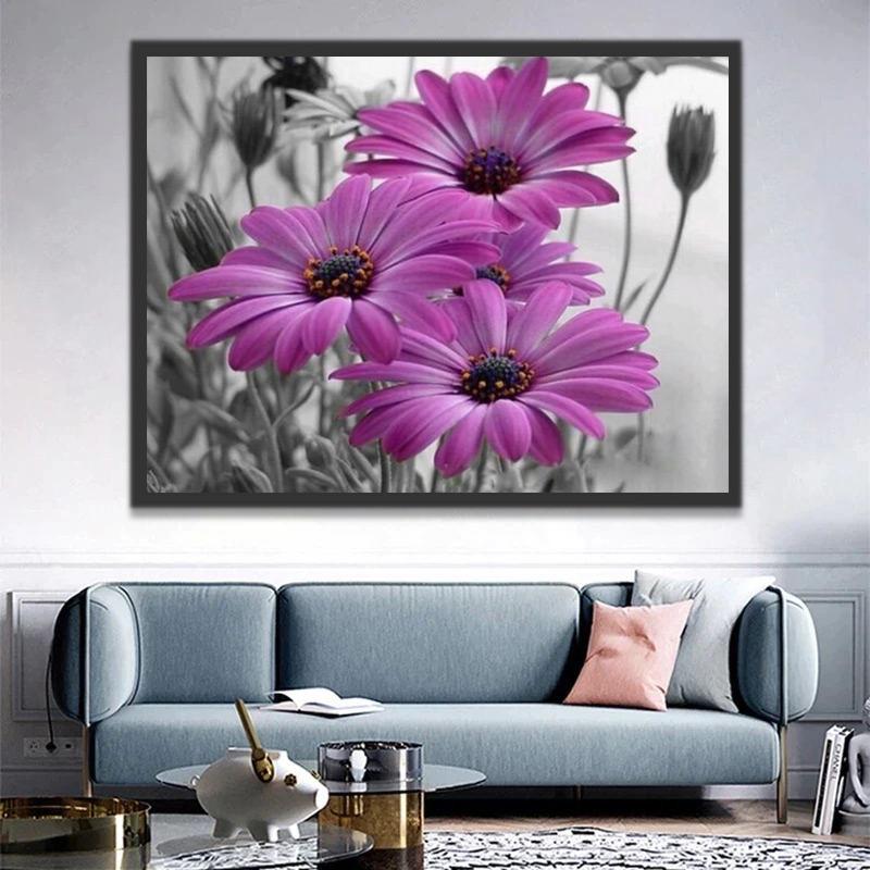 Paarse chrysant Schilderen op Nummers