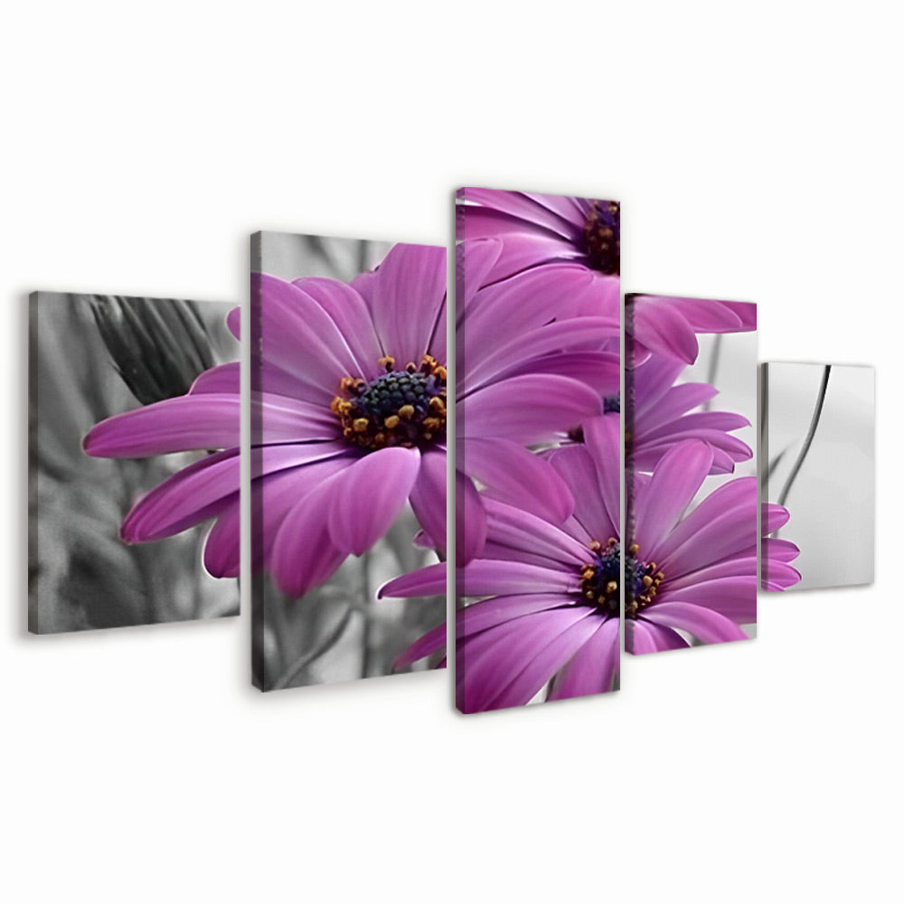 Paarse Chrysanten 5 Platen Schilderen op Nummers