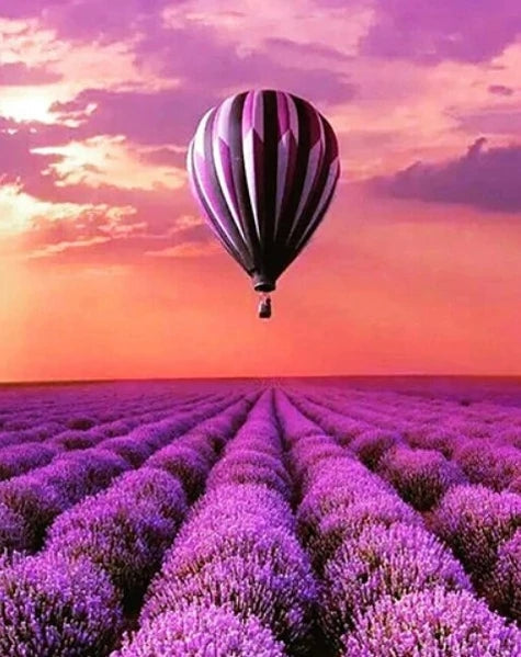Paarse Luchtballon boven Lavendelveld Schilderen op Nummers