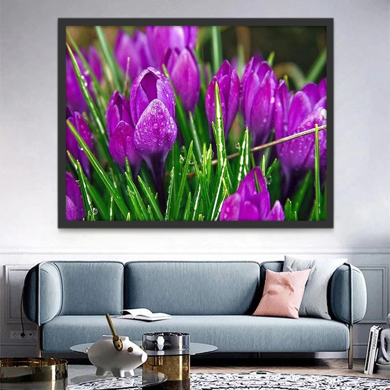 Paarse tulpen Schilderen op Nummers
