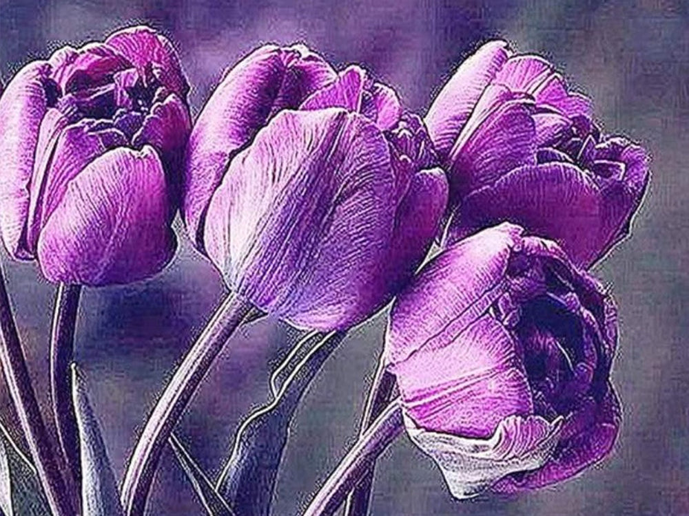 Paarse Tulpen Schilderen op Nummers