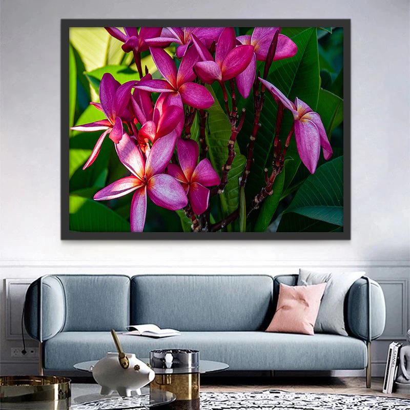 Paarse Vierbloemige Bloemen Schilderen op Nummers