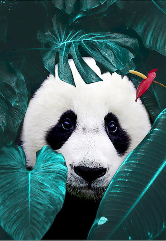 Panda en Bladeren Schilderen op Nummers