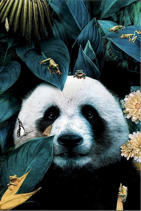 Panda en Insecten Schilderen op Nummers