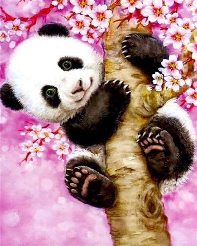 Panda in Boom Schilderen op Nummers