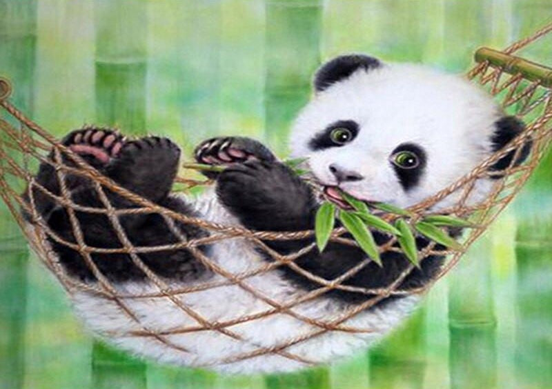 Panda in Hangmat Schilderen op Nummers