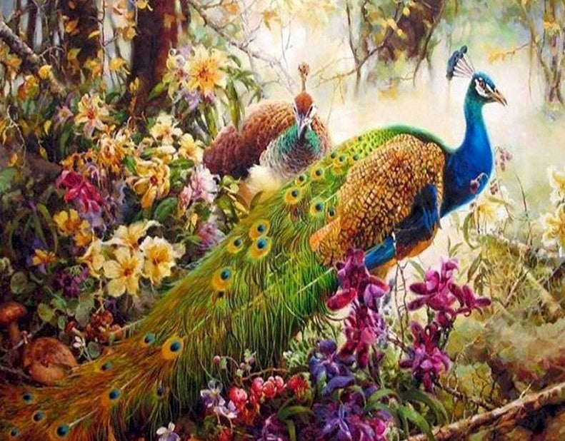 Pauw en Bloemen Schilderen op Nummers