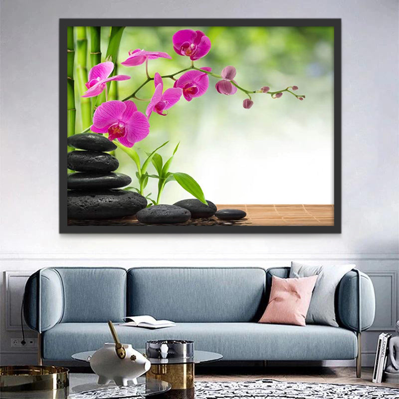 Phalaenopsis op Stenen Schilderen op Nummers