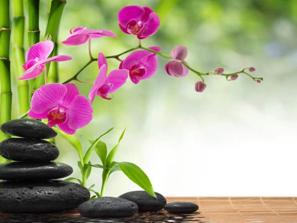 Phalaenopsis op Stenen Schilderen op Nummers