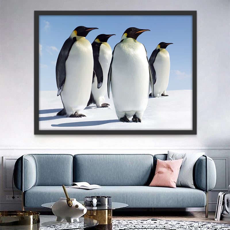Pinguïns kijken in de verte Schilderen op Nummers