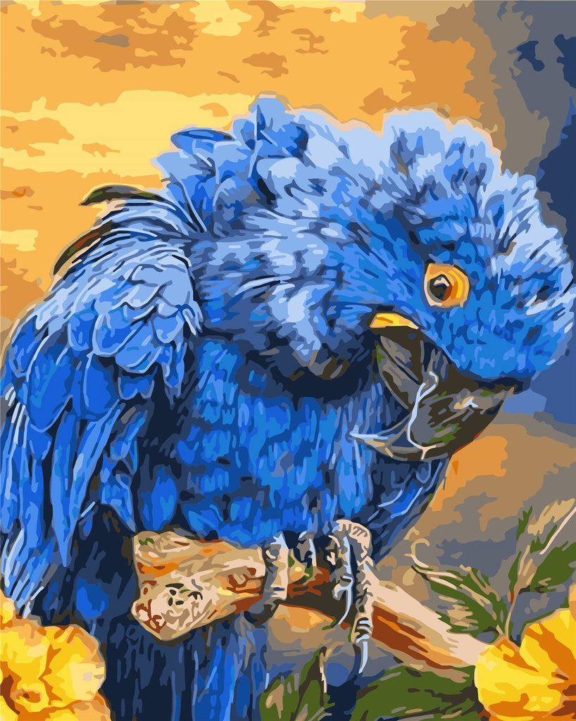 Pluizige Blauwe Papegaai Schilderen op Nummers