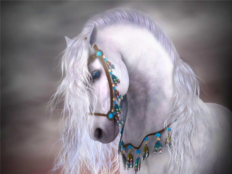 Prachtig Wit Paard met Juwelen Schilderen op Nummers