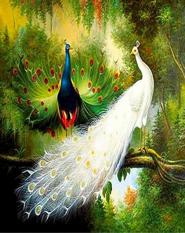 Prachtige Witte en Blauwe Pauwen Schilderen op Nummers