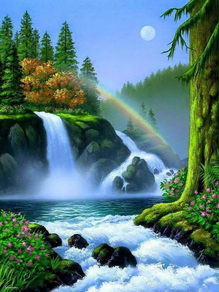 Regenboog en Planten bij de Waterval Schilderen op Nummers