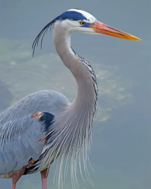 Reiger Schilderen op Nummers