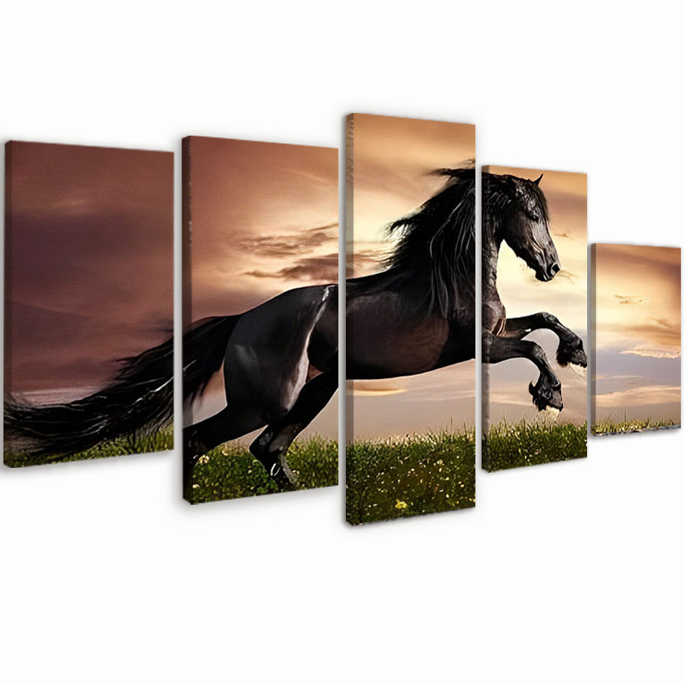 Rennend Zwart Paard 5 Platen Schilderen op Nummers