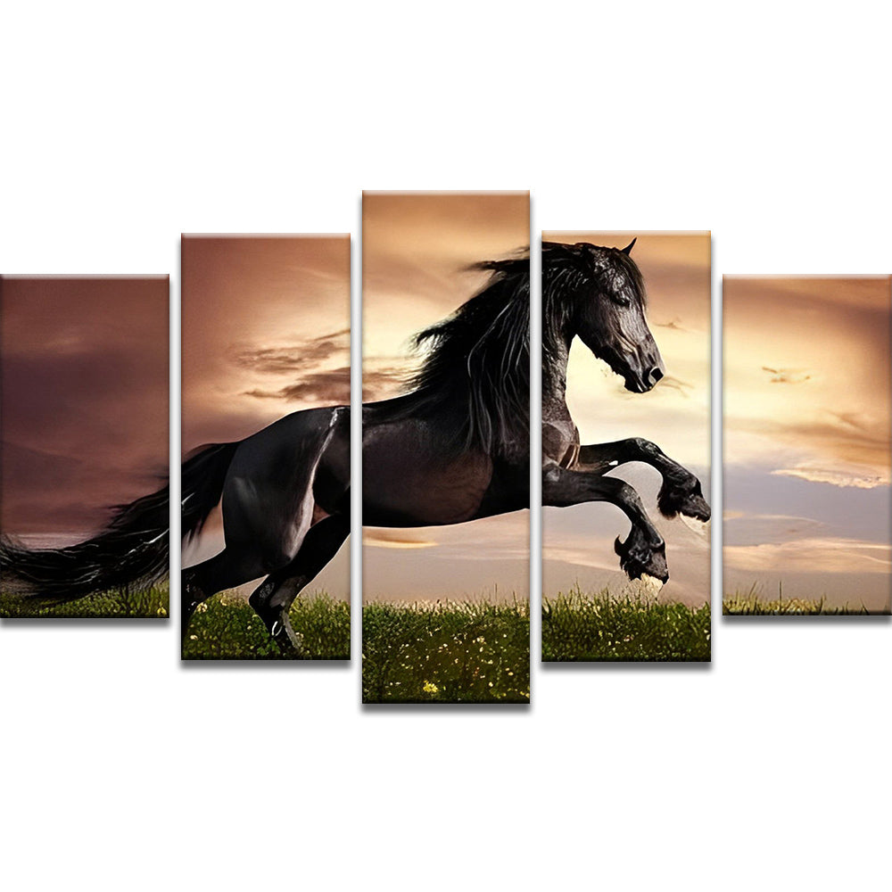 Rennend Zwart Paard 5 Platen Schilderen op Nummers