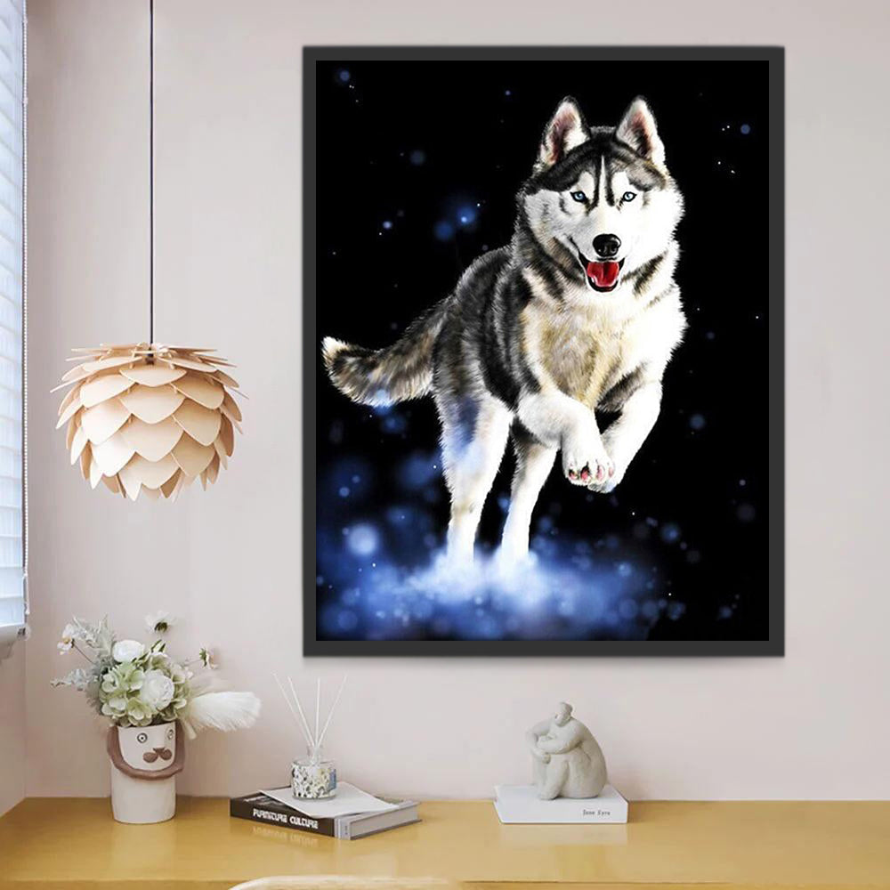 Rennende Husky Schilderen op Nummers