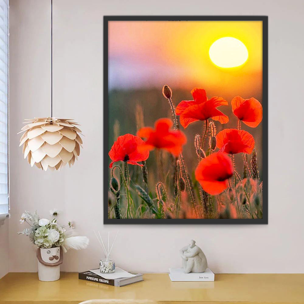 Rode Bloemen bij Zonsondergang Schilderen op Nummers