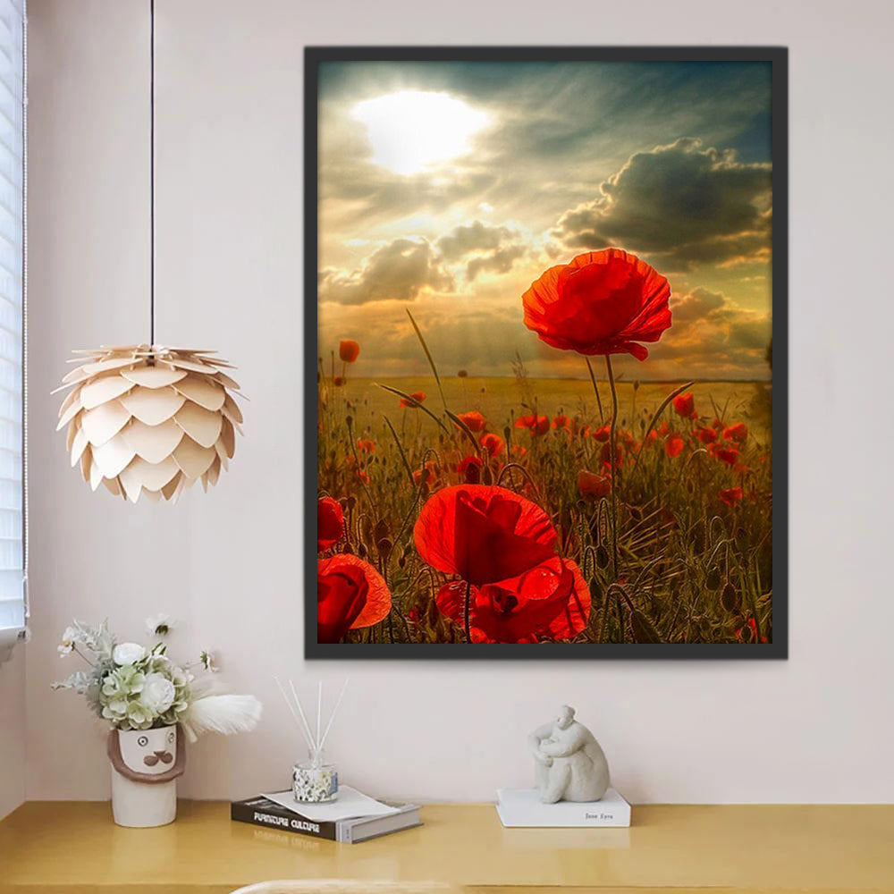 Rode Bloemen bij Zonsondergang Schilderen op Nummers