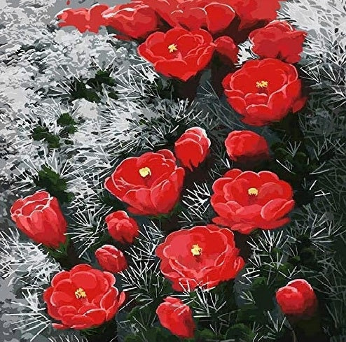 Rode Bloemen en Grijs Gras Schilderen op Nummers