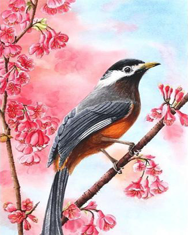 Rode Bloemen en Zwarte Vogel Schilderen op Nummers