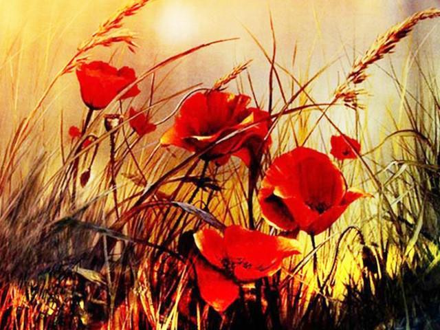 Rode bloemen in het gras Schilderen op Nummers
