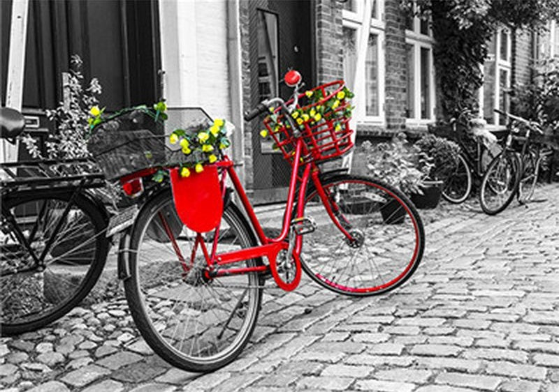Rode Fiets in Steenstraat Schilderen op Nummers