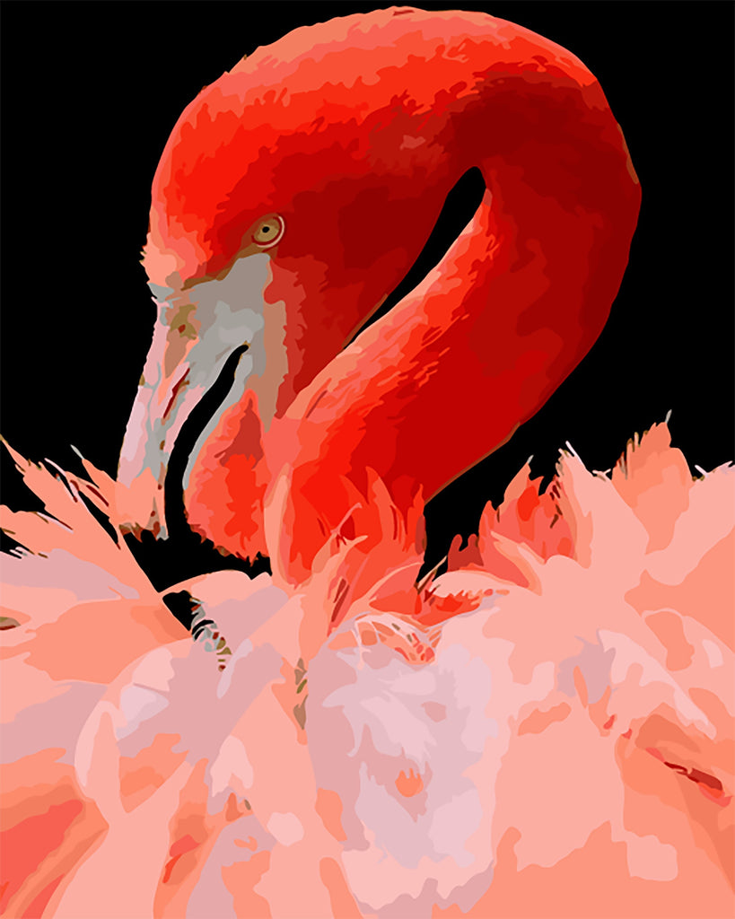 Rode Flamingo Schilderen op Nummers