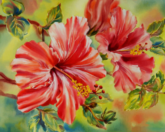 Rode Katoenroos Hibiscus Schilderen op Nummers