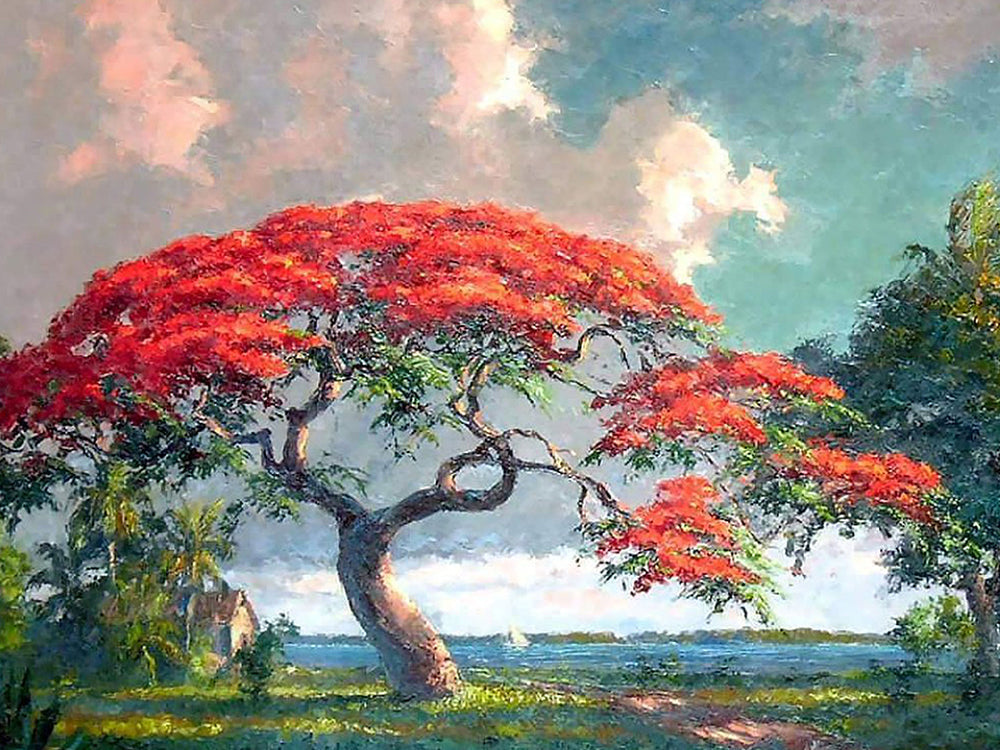 Rode Royal Poinciana Boom in Volle Bloei Schilderen op Nummers