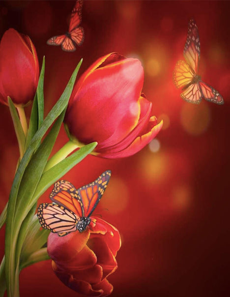 Rode Tulpen en Rode Vlinders Schilderen op Nummers