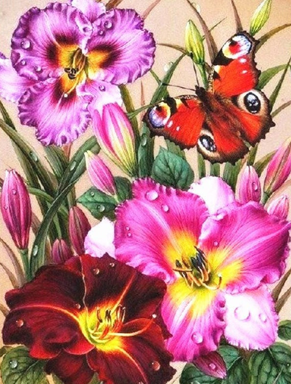 Rode Vlinder en Roze Bloemen Schilderen op Nummers