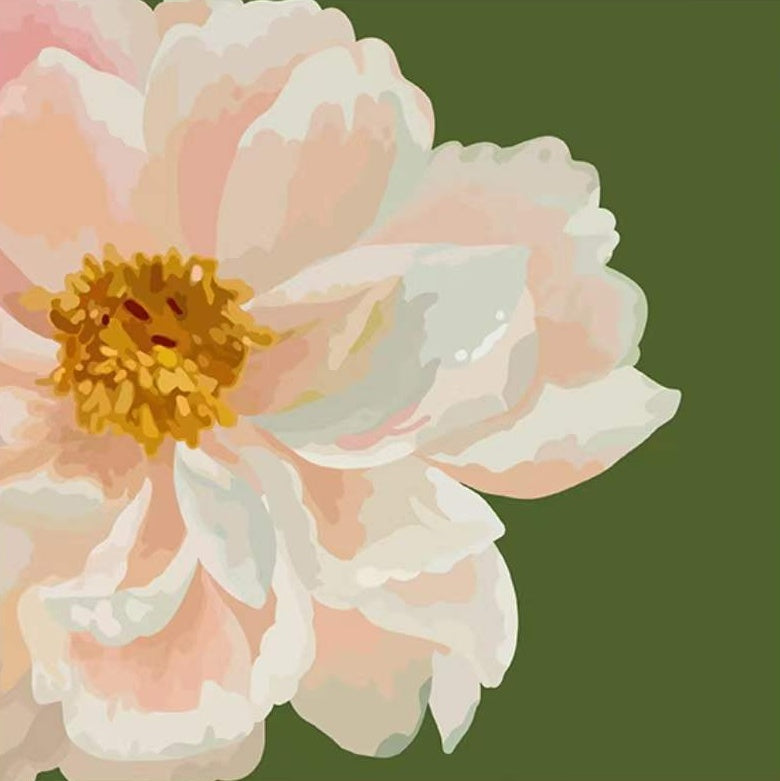 Roze bloem op groene achtergrond Schilderen op Nummers