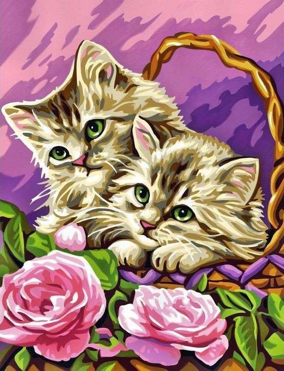 Roze Bloemen en Katten in Bamboemandje Schilderen op Nummers