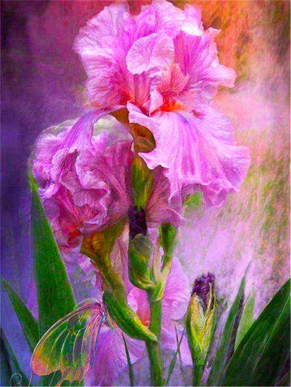 Roze Bloemen Schilderen op Nummers