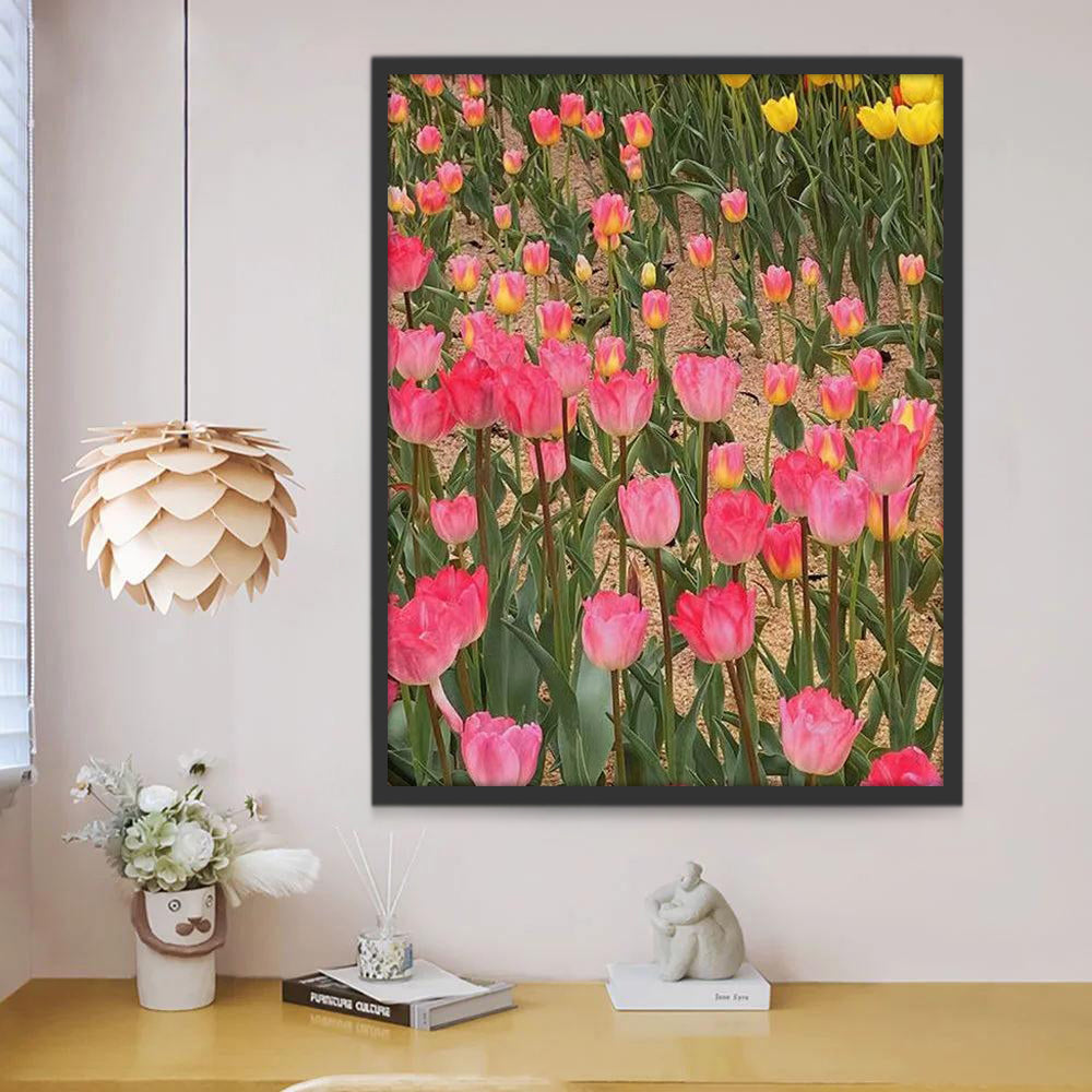 Roze en Gele Tulpenvelden Schilderen op Nummers